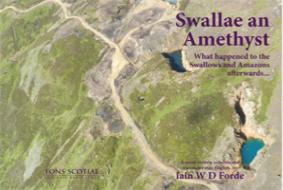 AmethystCoverforwebsite